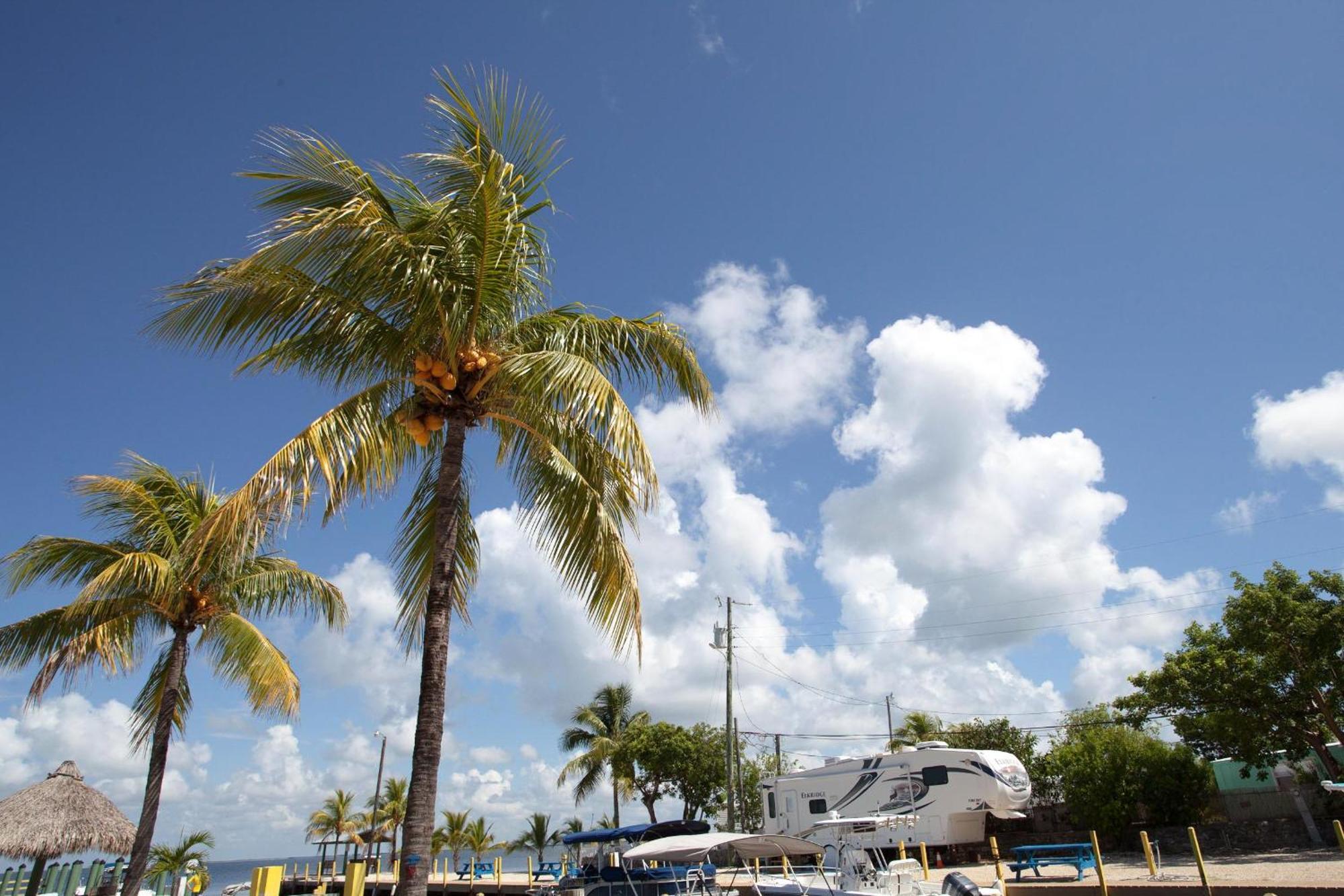 Kings Kamp Hotell Key Largo Exteriör bild
